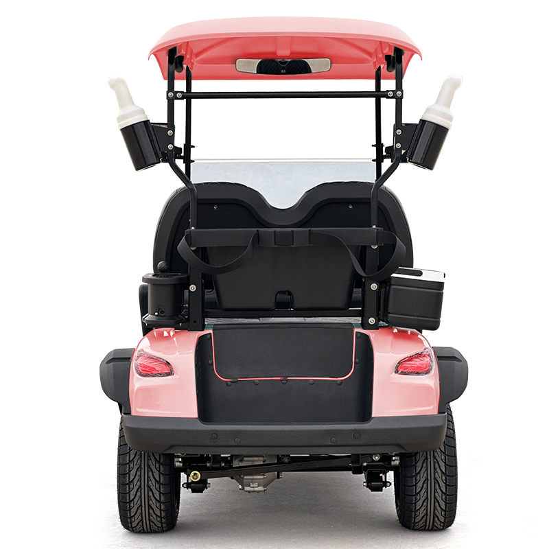 Style C 2-zits golfkar roze