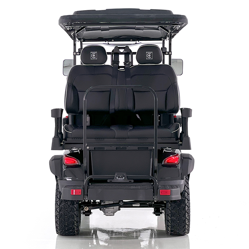 Aerfa 2+2 zits golfkar zwart