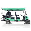 Aerfa 4+2 zits golfkar mintgroen