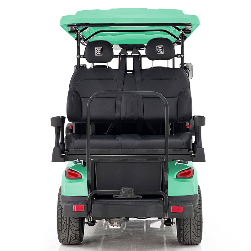 Aerfa 4+2 zits golfkar mintgroen