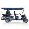 Aerfa 4+2 zitplaatsen golfkar blauw 